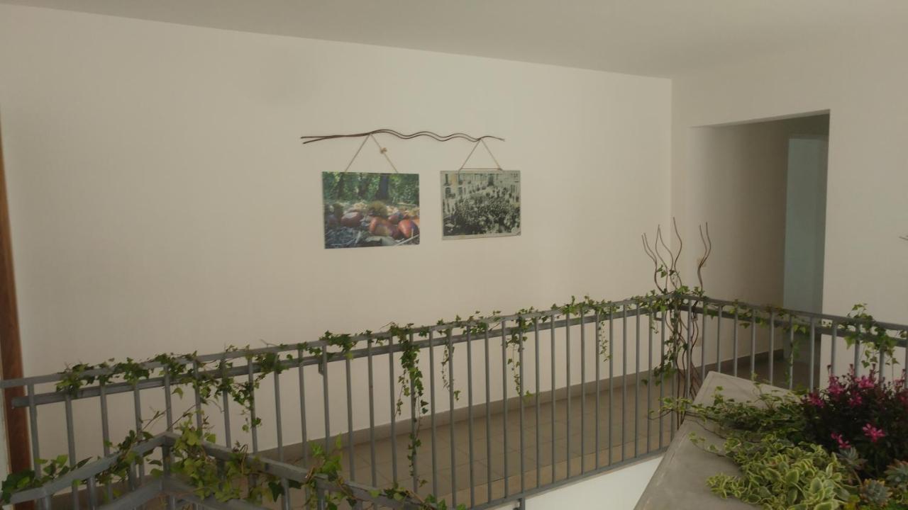 Ostello Il Castagno Antrodoco Exterior foto